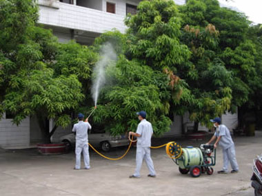 快速治理,價格最低